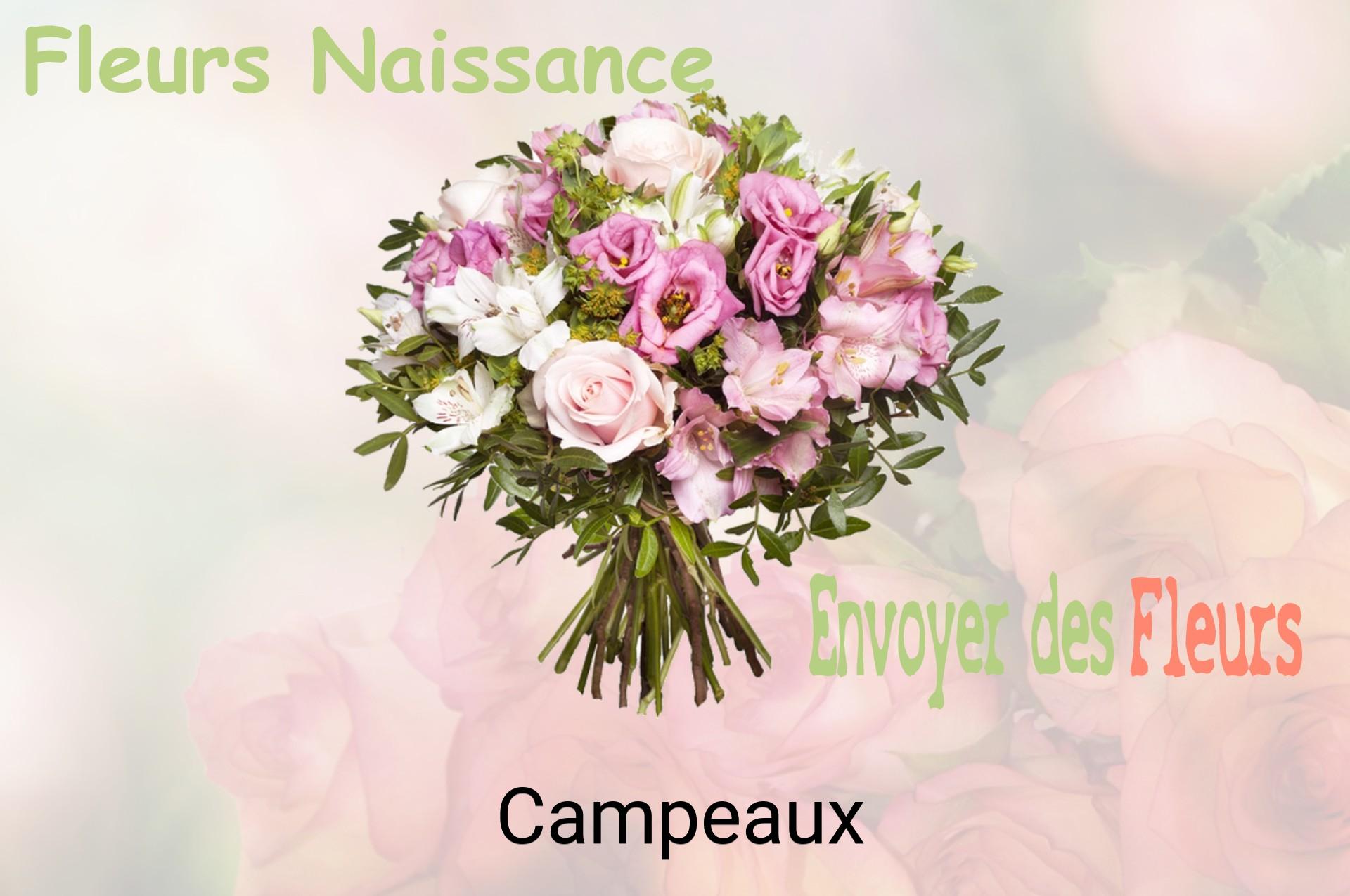 Bouquet de fleurs de naissance livré à Campeaux